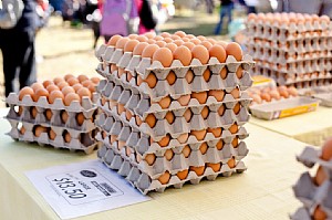 Chateclair Eggs