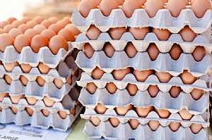 Chateclair Eggs