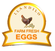 Llandilo Farm Fresh Eggs