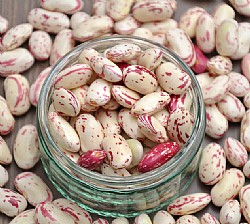Berlotti Beans