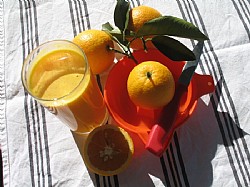 Oranges (Valencia)